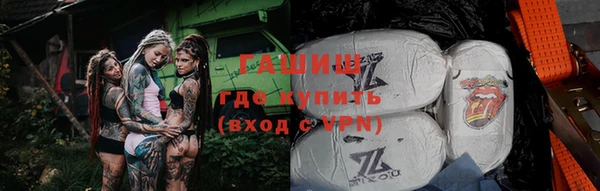 индика Дубна