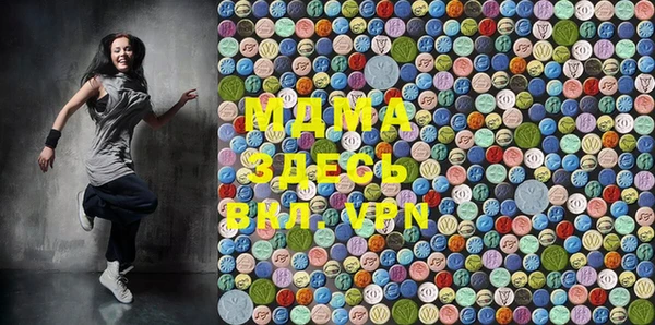 индика Дубна