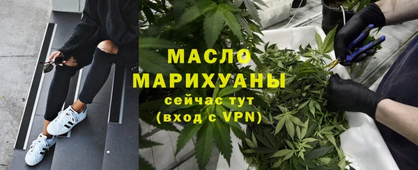 индика Дубна