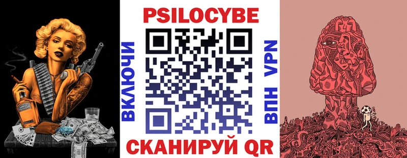 Псилоцибиновые грибы Psilocybe  Прохладный 